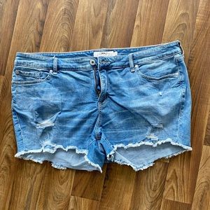 🧡SOLD🧡 Torrid Distressed Denim Shorts